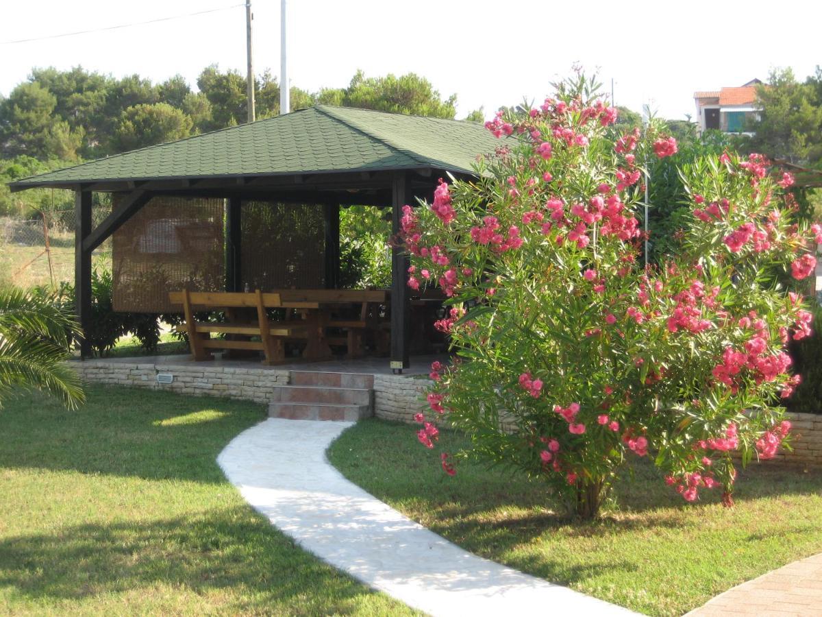 Villa „Drei Palmen“ Sveti Filip i Jakov Eksteriør billede