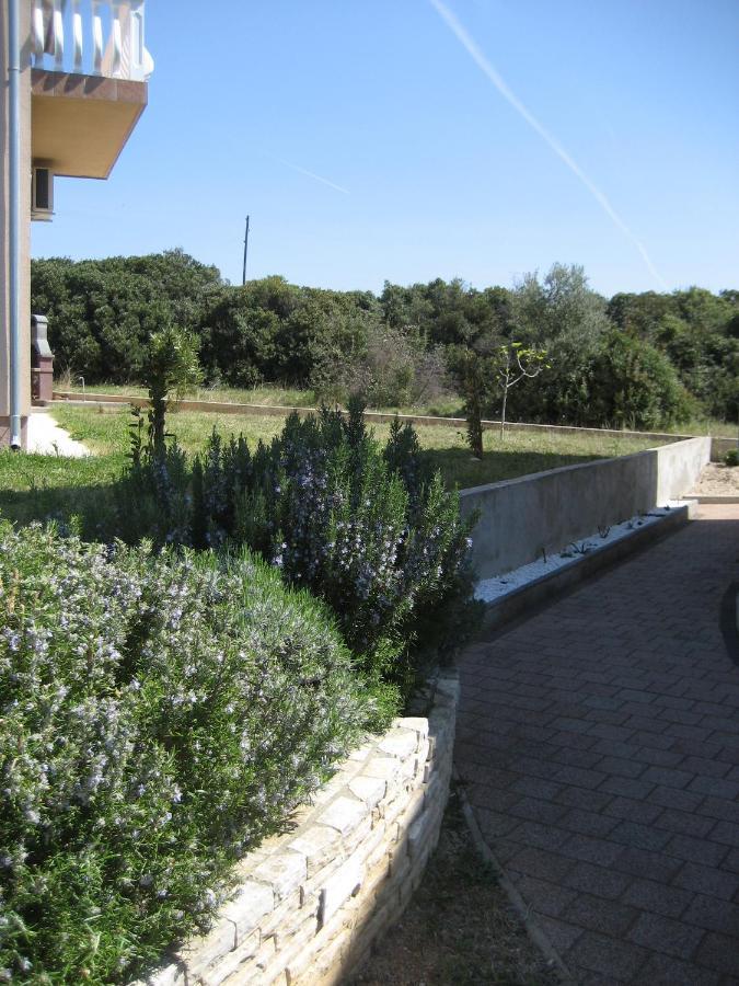 Villa „Drei Palmen“ Sveti Filip i Jakov Eksteriør billede