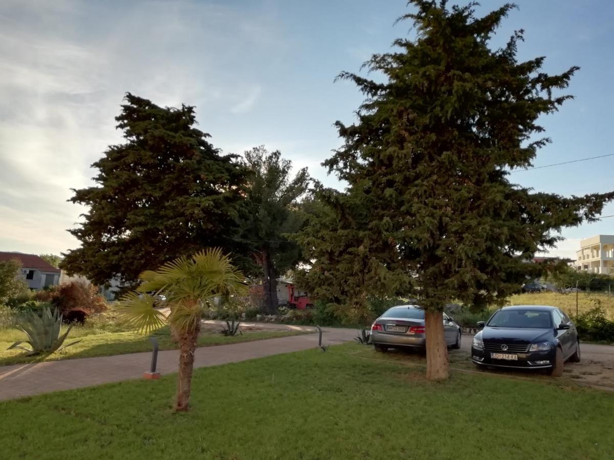 Villa „Drei Palmen“ Sveti Filip i Jakov Eksteriør billede
