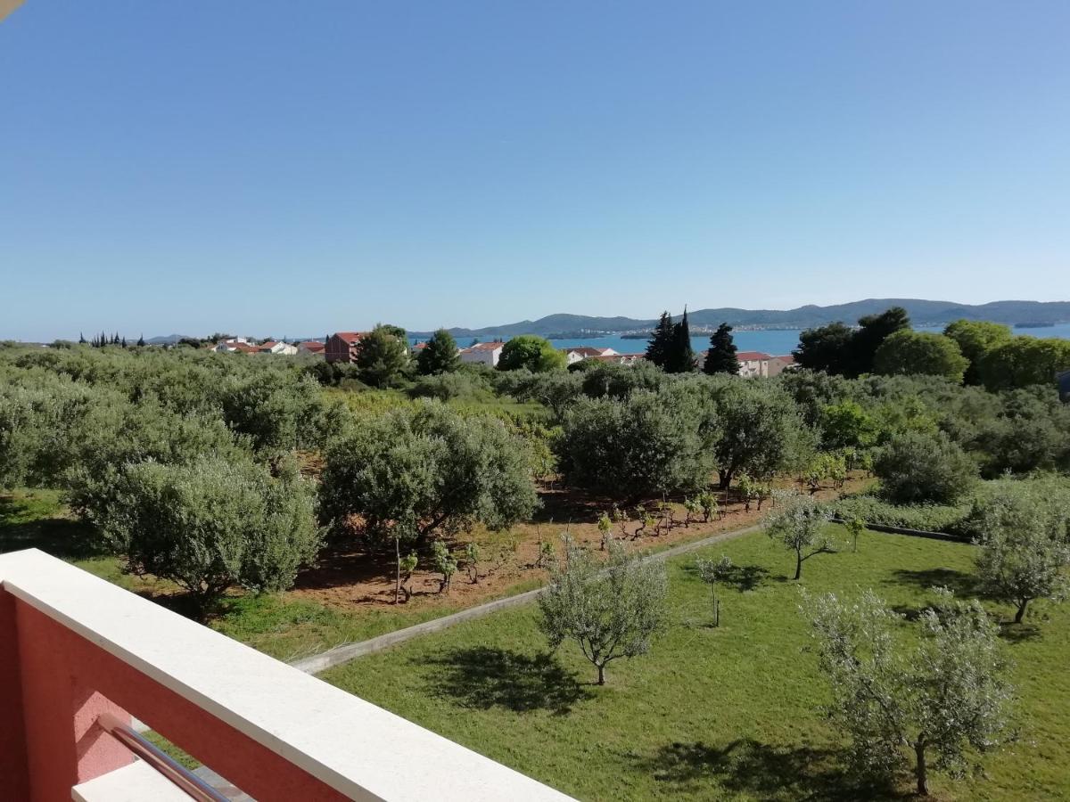 Villa „Drei Palmen“ Sveti Filip i Jakov Eksteriør billede