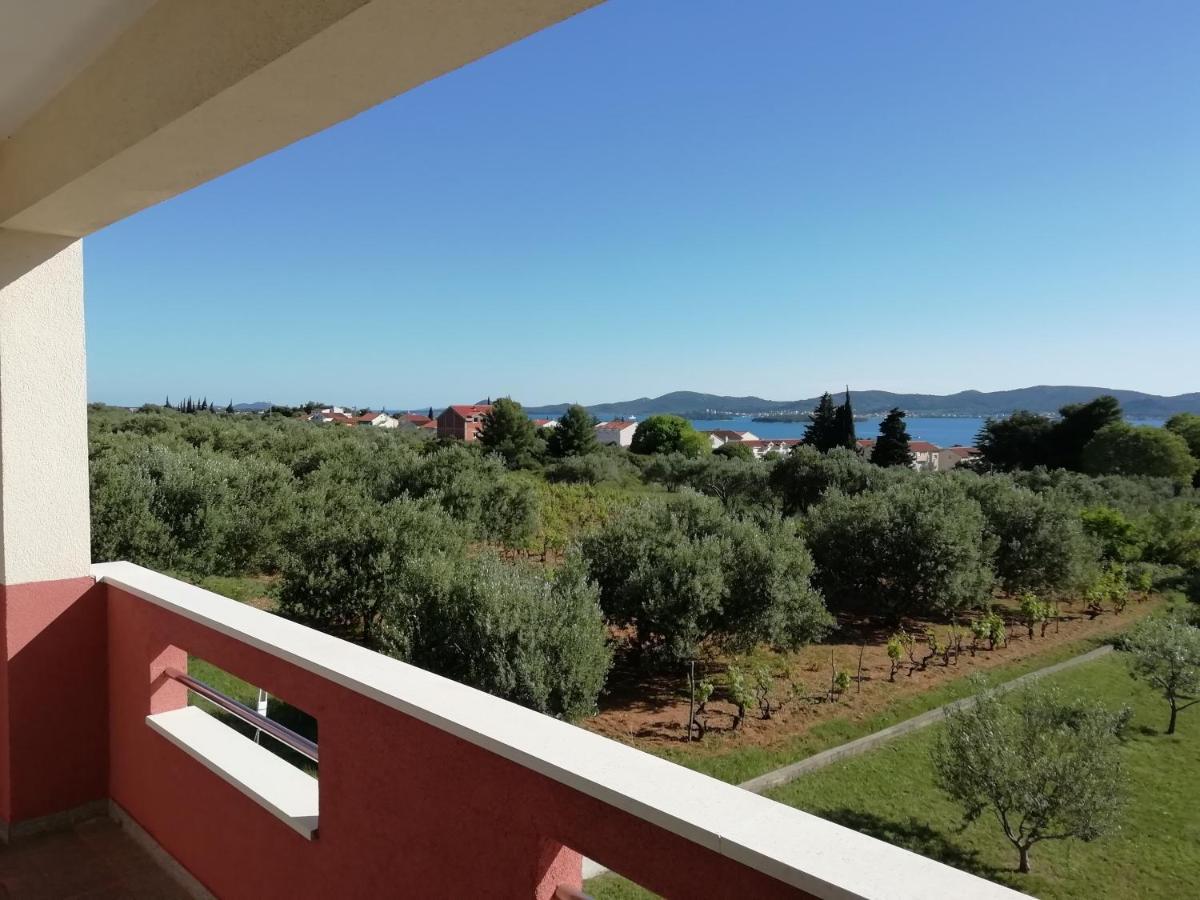 Villa „Drei Palmen“ Sveti Filip i Jakov Eksteriør billede
