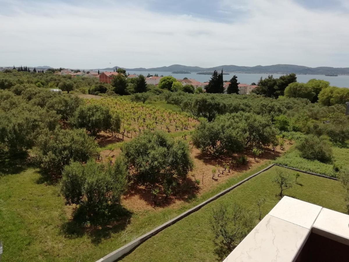 Villa „Drei Palmen“ Sveti Filip i Jakov Eksteriør billede